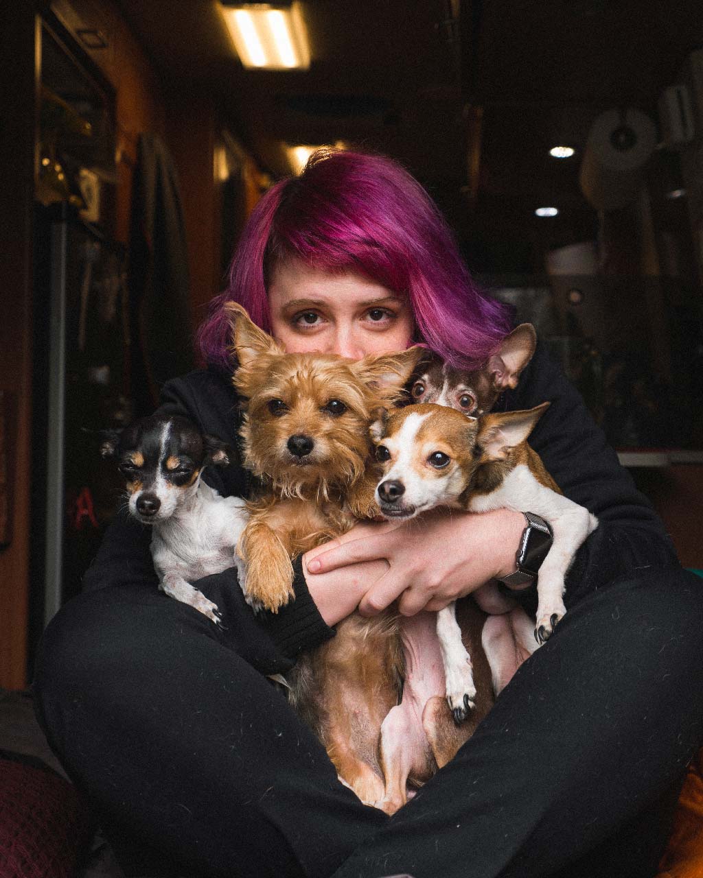 From left: Papers, Butters (ours), Ollie, Zippy (sister's)